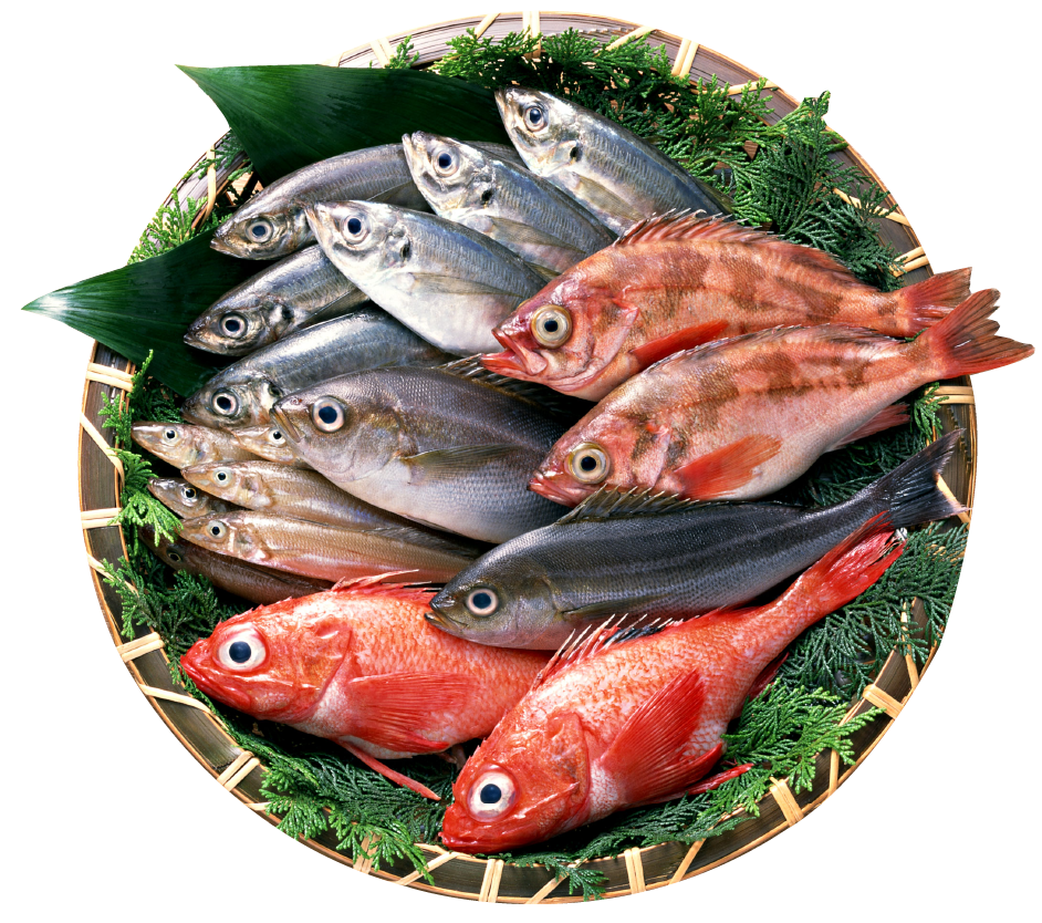 サブビジュアル--魚介盛合せ